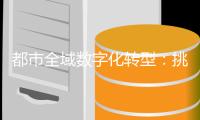 都市全域数字化转型：挑战、策略与运营运维模式创新